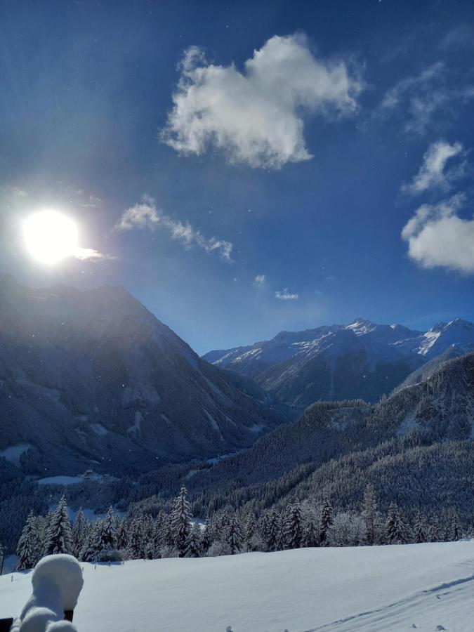 Appartement Reitlhof Wald im Pinzgau Eksteriør billede