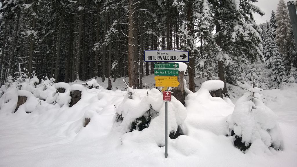 Appartement Reitlhof Wald im Pinzgau Eksteriør billede