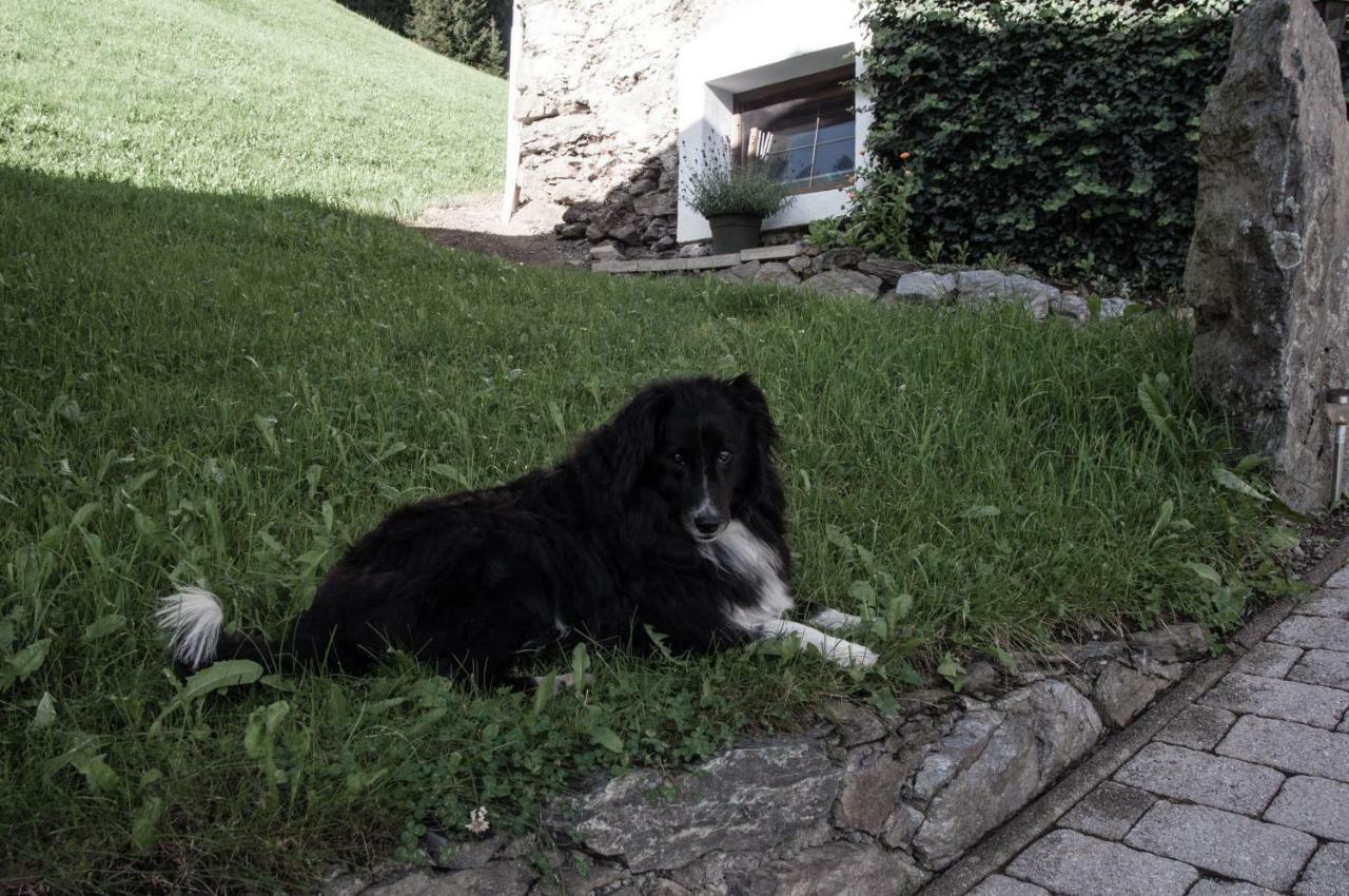 Appartement Reitlhof Wald im Pinzgau Eksteriør billede